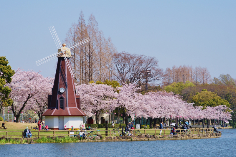 春の浮間公園