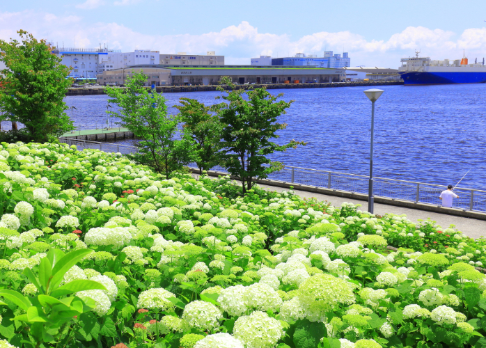 水の広場公園