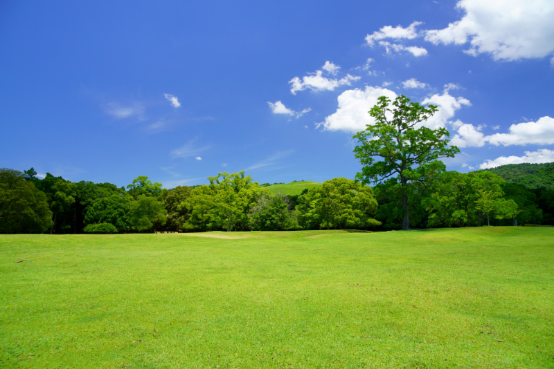 東立石緑地公園のイメージ