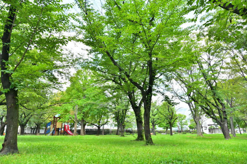 東綾瀬公園