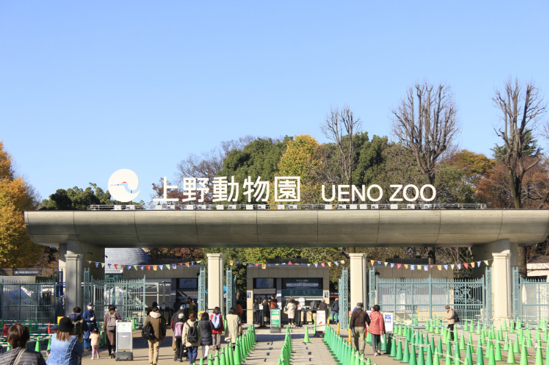 恩賜上野動物園