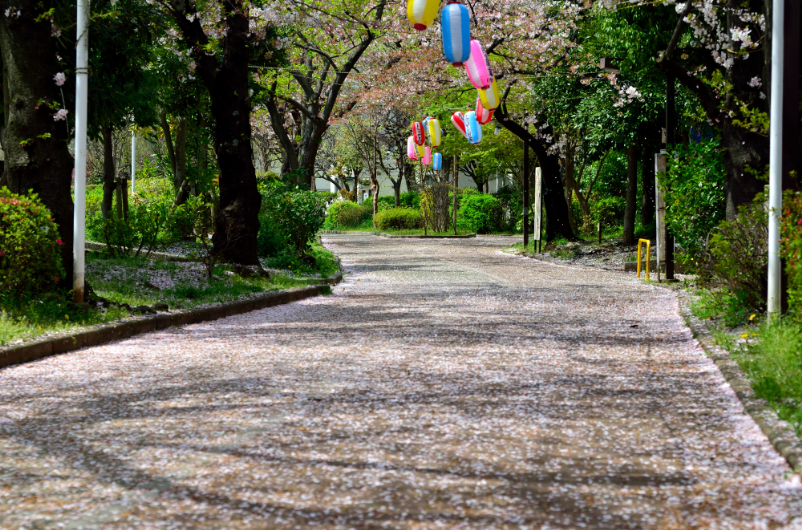 南砂緑道公園