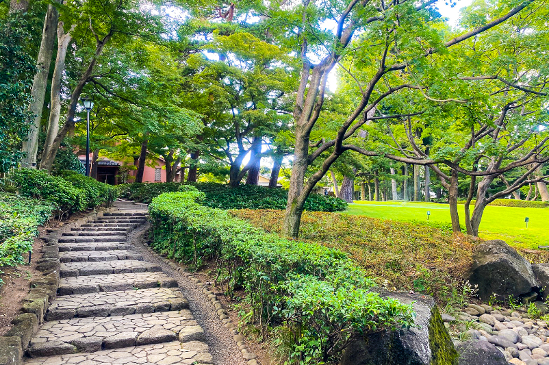 夏の和田堀公園