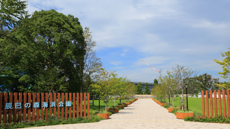 辰巳の森海浜公園