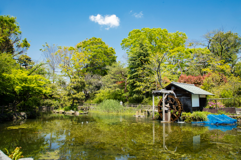 鍋島松濤公園